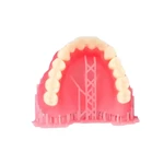 Denture Base Resin