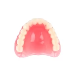 Denture Base Resin