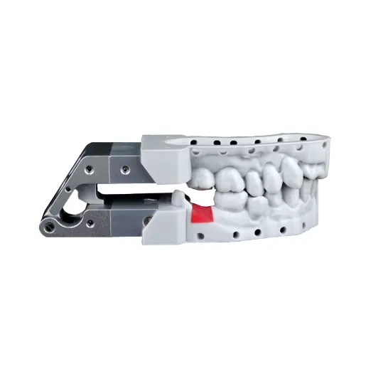 Gingiva Mask Resin