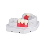 Gingiva Mask Resin