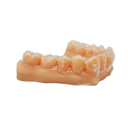 Ortho Model Resin