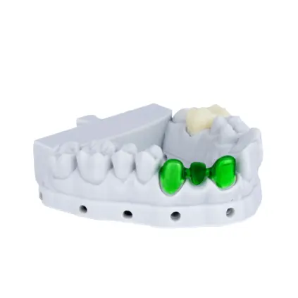 Pro Model Resin
