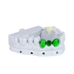 Pro Model Resin